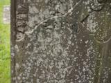 image of grave number 949525